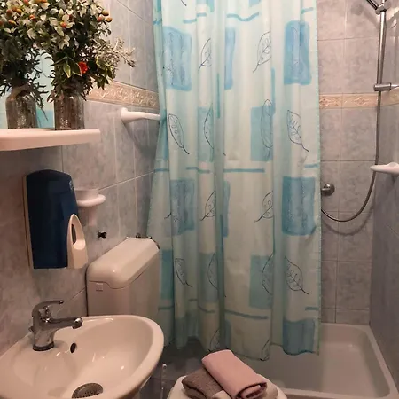 Guest house Vulinka Pension